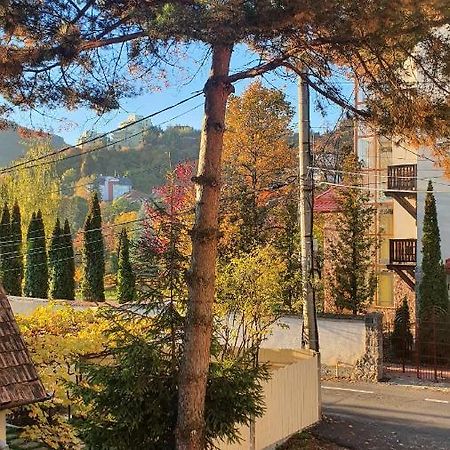 Central Luxury Apartment With City View Brasov Luaran gambar
