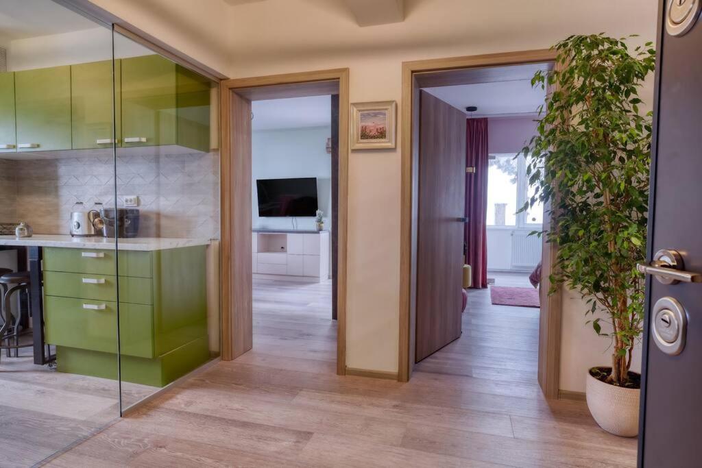 Central Luxury Apartment With City View Brasov Luaran gambar