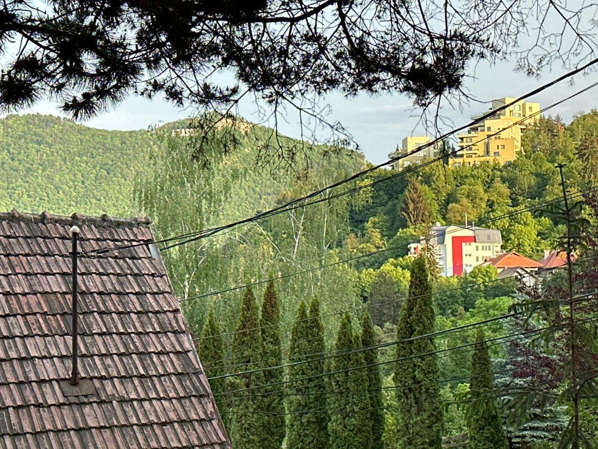 Central Luxury Apartment With City View Brasov Luaran gambar